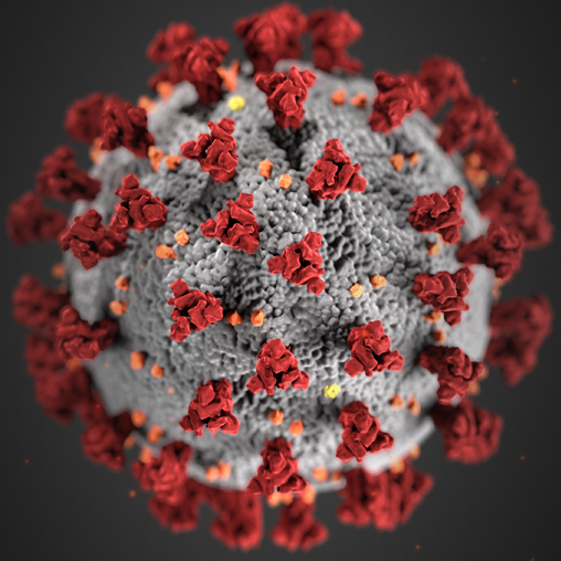 Covid-19 Coronavirus